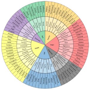 Emotional Wheel with different emotions and sub emotions